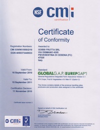 certificazione-global-gap-gobbifrutta